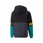 Felpa Bambino Puma Power Colorblock Hoodie 670098.43