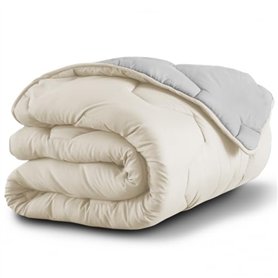 IDMarket - Couette 220x240 CM Abby Bicolore Beige et Gris 300 GR