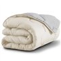 IDMarket - Couette 220x240 CM Abby Bicolore Beige et Gris 300 GR