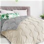 IDMarket - Couette 220x240 CM Abby Bicolore Beige et Gris 300 GR