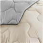 IDMarket - Couette 220x240 CM Abby Bicolore Beige et Gris 300 GR