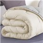 IDMarket - Couette 220x240 CM Abby Bicolore Beige et Gris 300 GR