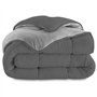 IDMarket - Couette 220x240 CM Zoe Polaire biface Gris Clair et Gris 400 GR
