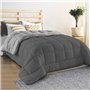 IDMarket - Couette 220x240 CM Zoe Polaire biface Gris Clair et Gris 400 GR