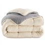 IDMarket - Couette 200x200 CM Zoe Polaire biface Gris et crème 400 GR