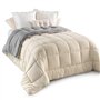IDMarket - Couette 200x200 CM Zoe Polaire biface Gris et crème 400 GR
