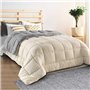 IDMarket - Couette 200x200 CM Zoe Polaire biface Gris et crème 400 GR