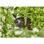 Gardena Start Set for Raised Beds/Beds (35 Plants)