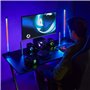 NEDIS Haut Parleur de Jeux | Canaux de Haut-Parleur: 2.1 | Alimenté par Port USB | 3.5 mm Mâle | 33 W | LED | Contrôle du Vol