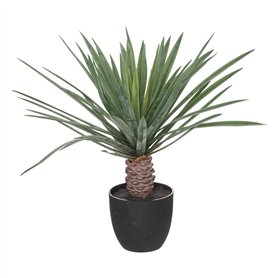 Atmosphera - Palmier Artificiel Rivi - Pot en Ciment - H52 cm