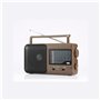 Radio grandes ondes AM/FM/LW/SW - Prise casque jack 3.5mm - poignée intégrée - alimentation prise secteur ou pile