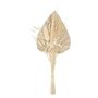 Atmosphera - Bouquet Fleurs séchées Sea View - H31 cm