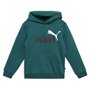 PUMA Ess+ 2 Col Big Logo Hoodie FL B Sweatshirt, Malachite, 140 Mixte bébé