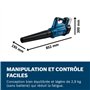 Bosch Professional souffleur sans-fil BITURBO GBL 18V-750 (débit volumétrique de 780 m³/h, vitesse d’air jusqu’à 198 km/h, varia