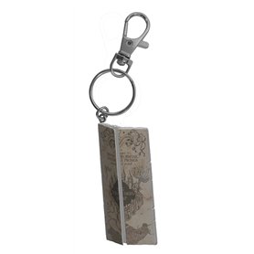Plastoy PC Carte du MARAUDEUR