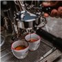 La Pavoni LPSCVS01EU, Machine à café semi-professionnelle Cellini Evolution, Stainless steel