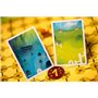 Space Cow - Asmodee - Le Chemin de la Maison - Jeux de société - Jeu Enfant et Famille - Jeu coopératif à partir de 5 Ans - 2 à 