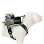 Loungefly Beetlejuice Cosplay Mini Backpack Dog Harness Medium