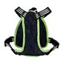 Loungefly Beetlejuice Cosplay Mini Backpack Dog Harness Medium