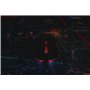Konix Souris Gaming Filaire Warlock Ultra légère 61 g pour PC - 6 Niveaux DPI - Vitesse 150 cm/s - Accélération 20 g - Câble tre
