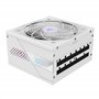 GIGABYTE AORUS Elite P1000W Ice Alimentation - PCIe 5.0, 80 Plus Platinum, Conception entièrement modulaire, Ventilateur de 120 