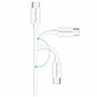 PHONILLICO Cable compatible avec enceinte Sonos One SL/Sonos Roam [PACK 2] USB TYPE USB-C Blanc 1 Mètre
