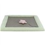 Junior matelas griffoir - TRIXIE - 47 x 47 cm - Gris / Menthe