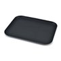 Plateau Quttin 36 x 46 x 2,2 cm (12 Unités)