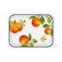 Plateau La Mediterránea 42 x 31 cm Fruits 9 Unités