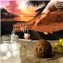 Bouteille en Verre La Mediterránea verre 1 L (12 Unités)
