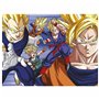 Puzzle Dragon Ball