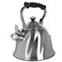 Bouilloire Feel Maestro MR-1305 Argenté 3 L