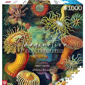 Puzzle Cenega Publishing Ernst Haeckel Criaturas marinas 1000 Pièces