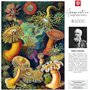Puzzle Cenega Publishing Ernst Haeckel Criaturas marinas 1000 Pièces