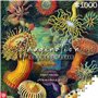 Puzzle Cenega Publishing Ernst Haeckel Criaturas marinas 1000 Pièces