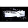 Mémoire RAM GSKILL F5-8000J4048G24GX2-TR5NS