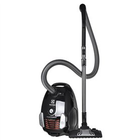 Aspirateur Electrolux EPF63EB-S Noir 700 W
