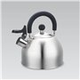 Théière Feel Maestro MR-1300 Noir Argenté Acier inoxydable 2 L
