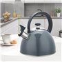 Théière Feel Maestro MR-1302-GREY Noir Gris Acier inoxydable 2,5 L