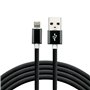Câble USB vers Lightning EverActive CBS-1IB Noir 1 m