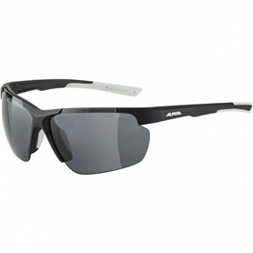 Lunettes de soleil Homme Alpina DEFEY HR