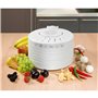 Déshydrateur d'Aliments Clatronic DR 2751 250 W
