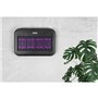 Lampe Anti-Moustiques N'oveen IKN550 Noir 5 W