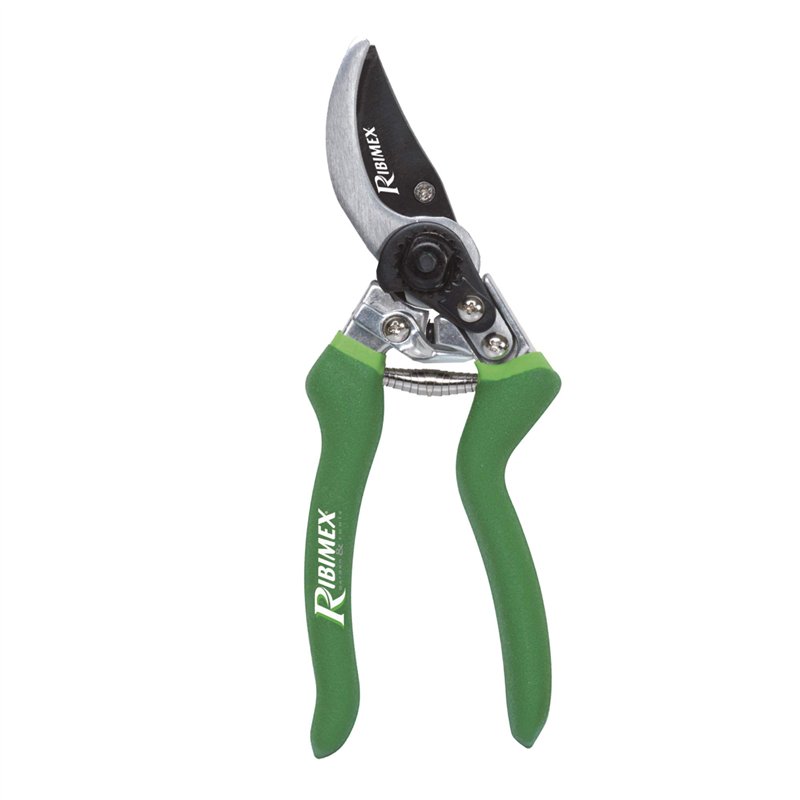 Willemse France 016249 Sécateur lame courbes Multicolore 12 x 12 x 29 cm