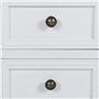 vidaXL Table de Chevet avec 2 Tiroirs MDF Blanc Table Basse Décor Chambre