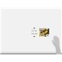 Epson C13T16264012 Cartouche d'encre Multipack