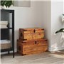 vidaXL 2 coffres de stockage bois brut de manguier Banc Meuble de rangement