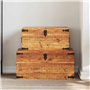 vidaXL 2 coffres de stockage bois brut de manguier Banc Meuble de rangement