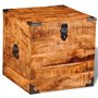 vidaXL Coffre carré en Bois Brut de manguier Banc Banquette Meuble de Rangement