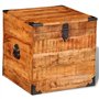 vidaXL Coffre carré en Bois Brut de manguier Banc Banquette Meuble de Rangement